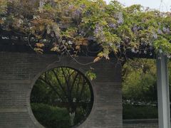 -苏州市立医院(白塔院区)