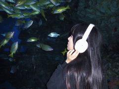 -海合安成都极地海洋公园