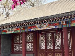 -荣国府