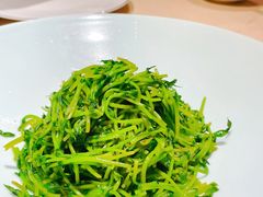 -RIVIERA 松鹤楼(外滩店)