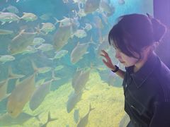 -烟台海昌鲸鲨海洋公园