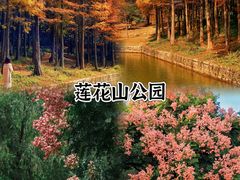 -深圳市中科院仙湖植物园
