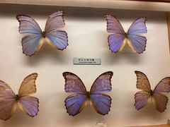 -青藏高原自然博物馆
