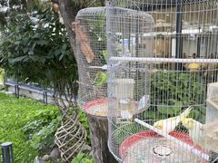 -蘇河湾·新鲁菜·泰山宴(泰山店)