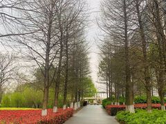 -苏州东太湖生态园