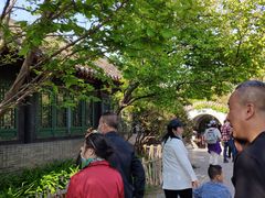 -王家大院