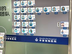 -申普宠物医院·心脏介入·心血管微创(总院)