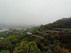 -福道