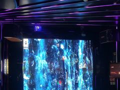 -唱吧麦颂KTV·派对(东坝店)