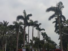 -万绿园