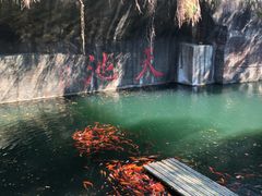-千岛湖东南湖区