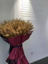 -紫御国际抗衰ZOE ANTI AGING
