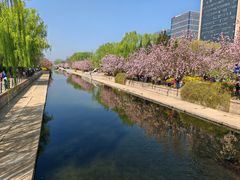 -海棠花溪(元大都城垣遗址公园)
