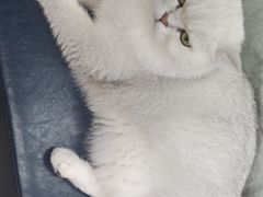 -拳盛时代拳击俱乐部(北京路店)