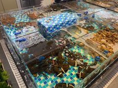 -映像威海·海鲜味道(市区店)
