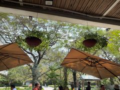-缘生态云南菜·野生菌庭院餐厅(华侨城店)