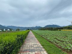 -君乐宝优致牧场