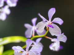 -北京植物园-展览温室