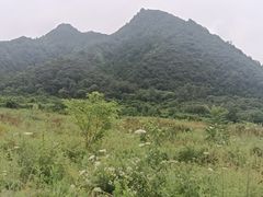 -沣峪口
