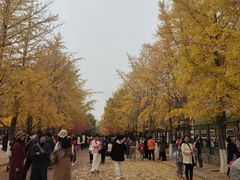 -辽宁大学(崇山校区)