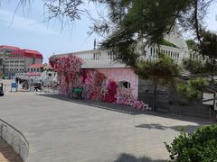 -北戴河碧螺塔海上酒吧公园