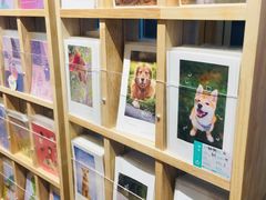 -猫的天空之城概念书店(印象城购物中心店)