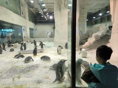 -大连圣亚海洋世界