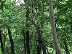 -崂山巨峰游览区