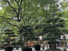 -上海交通大学医学院附属瑞金医院(总院)