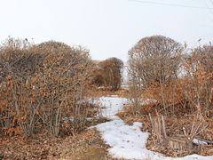 -沈阳辉山风景区