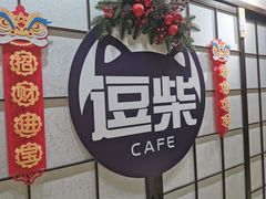 -逗柴咖啡屋·狗咖猫咖宠物桌游
