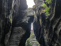 -梭布垭石林景区