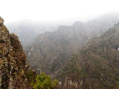 -牛背梁国家森林公园