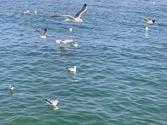 -海尔世界家电博物馆