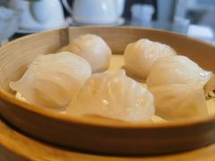 -金悦轩海鲜城(渔人码头店)