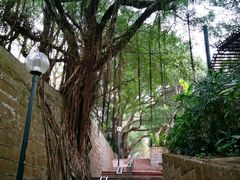 -九龙公园