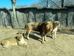 -北京野生动物园