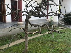 -堤角公园