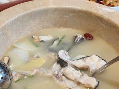 -七采菌园·野生菌石锅鱼(环城北路店)