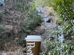 -东天目山风景区