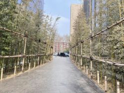 点击看大图 -美薇亭婚礼顾问
