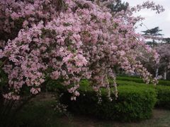 -国家植物园南园