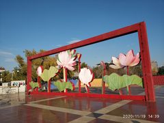 -莲花池公园