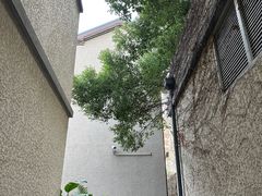 -徐家汇源景区-衡山坊