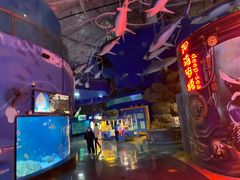 -烟台海昌鲸鲨海洋公园