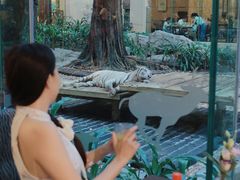 -白虎自助餐厅·真老虎·景观自助餐厅(广州长隆酒店)