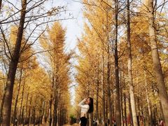 -汉景帝阳陵博物院