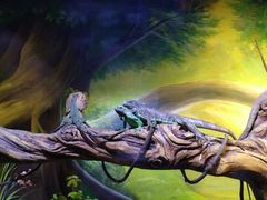 -华夏文旅西安度假区