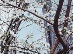 -西湖文化广场
