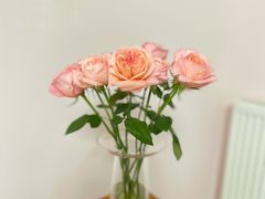 -法桐蛋糕·手作面包(万象城店)